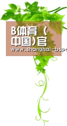 B体育 (中国)官方网站 - Bsports全球体育赛事中心
