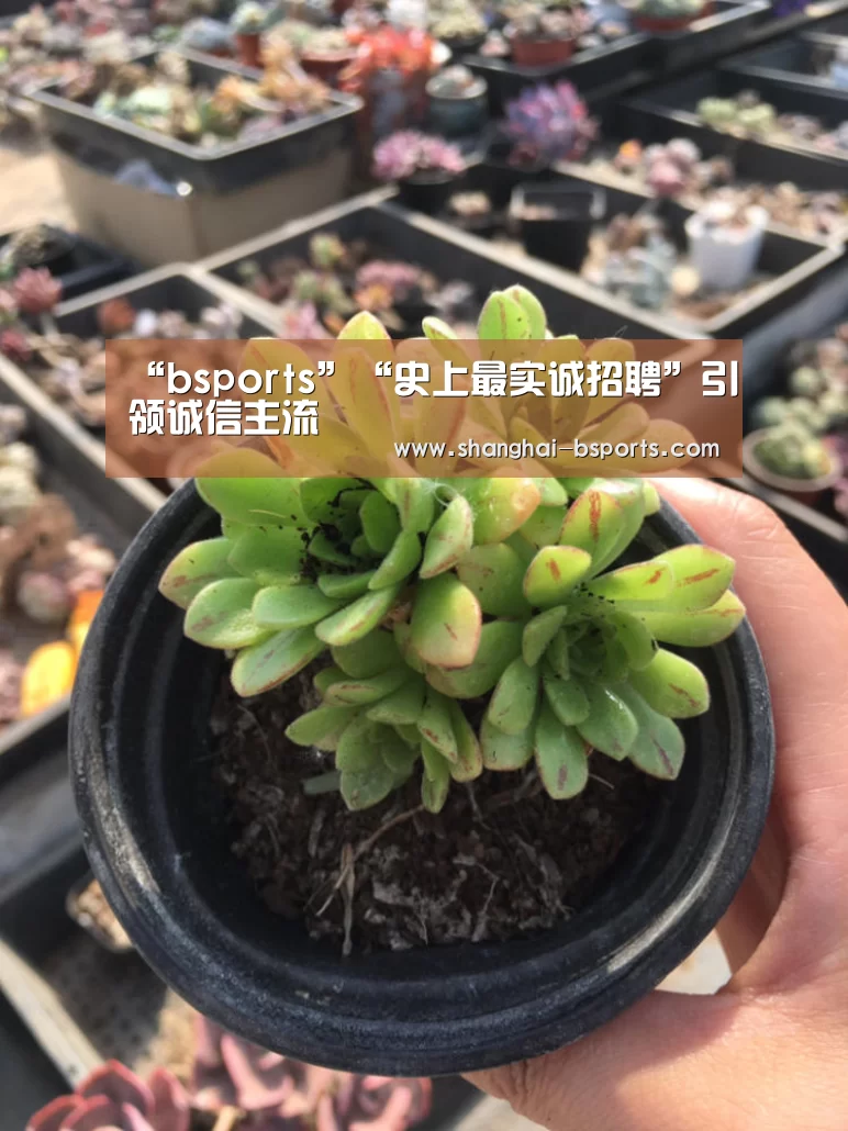 必一运动